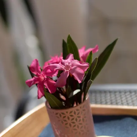Apartment Oleander *