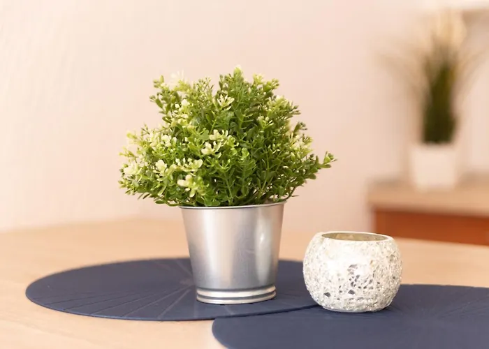 Oleander * Драмаль