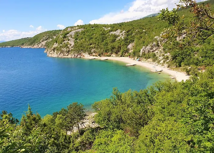 Oleander * Драмаль